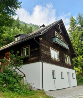 Ferienhaus Schellgaden